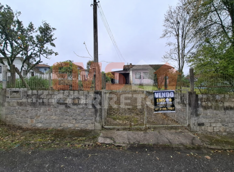 ChatGPT Image 17 de fev. de 2026, 10_39_52