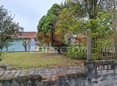 WhatsApp Image 2026-02-12 at 10.29.28