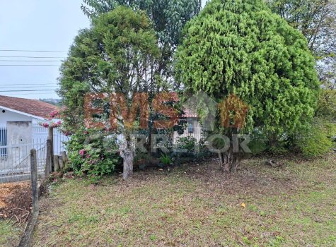 WhatsApp Image 2026-02-12 at 10.29.29