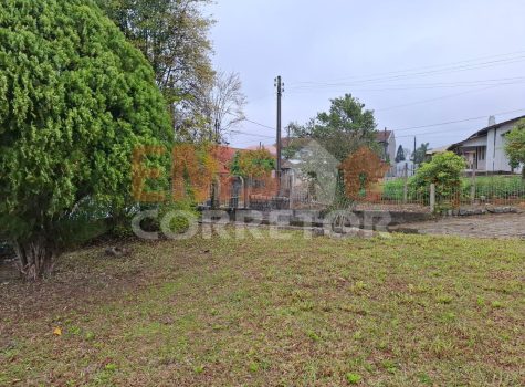 WhatsApp Image 2026-02-12 at 10.29.31