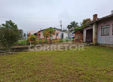 WhatsApp Image 2026-02-12 at 10.29.33