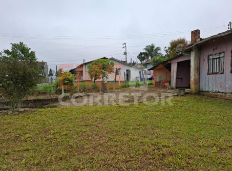 WhatsApp Image 2026-02-12 at 10.29.33