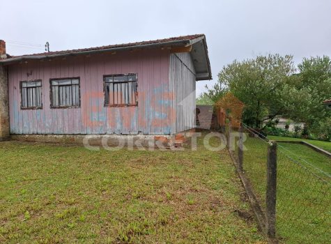 WhatsApp Image 2026-02-12 at 10.29.34